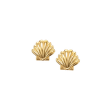 Shell Studs